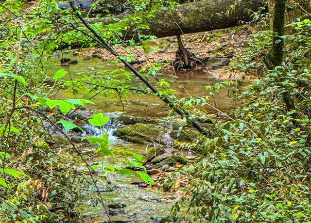Property at 00 LOT C Cavender Creek Rd, Dahlonega, GA 30533