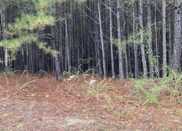 Property at 1148 Falkirk Ln, Stone Mountain, GA 30087