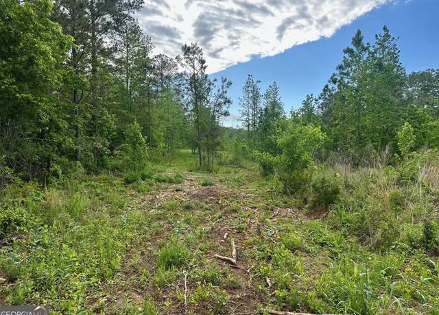 Property at 0 Satcher Rd #1, Taylorsville, GA 30178