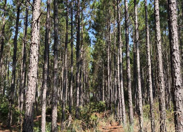 Property at 0 Valdosta Hwy, Waycross, GA 31503