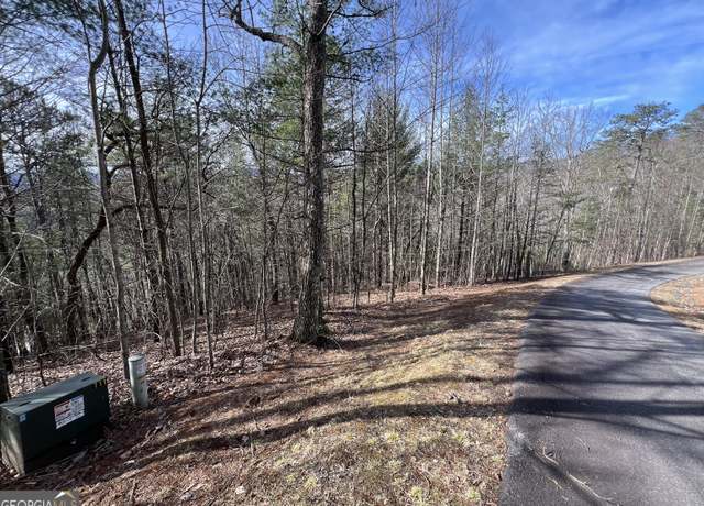 Property at 02.17AC LOT 11 Choestoe Trl, Blairsville, GA 30512