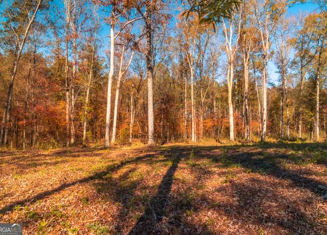 Property at 0 Old Dames Ferry Rd, Juliette, GA 31046