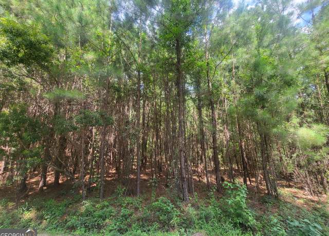 Property at 0 O F Lanier Rd, Pembroke, GA 31321