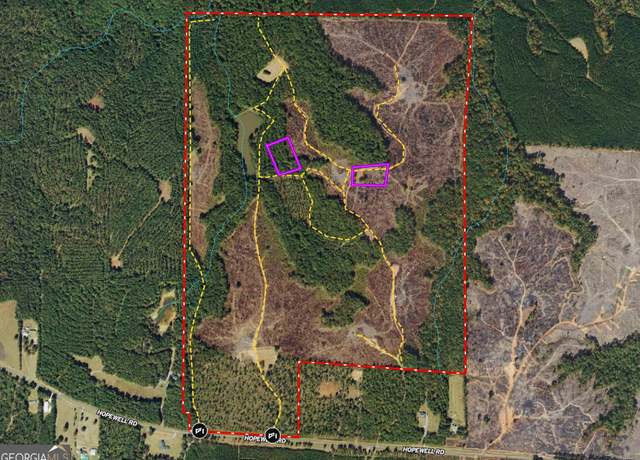 Property at 293 AC Hopewell Rd, Forsyth, GA 31029