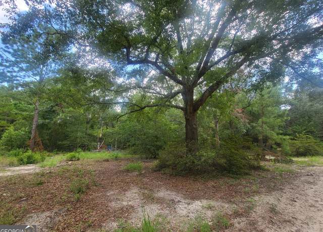 Property at 850 O F Lanier Rd, Pembroke, GA 31321