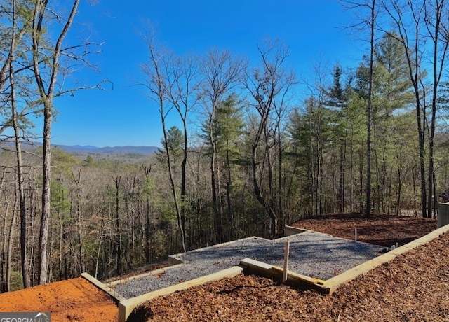Property at BILL CLAYPOOL D Lot 28, Blue Ridge, GA 30513, 4 beds, 3.5 baths