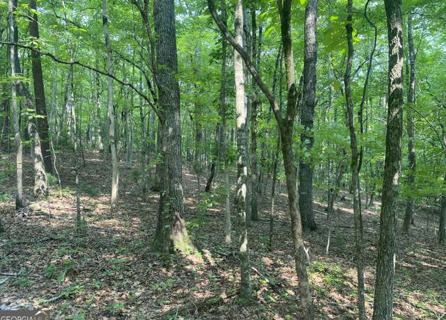 Property at LT 51, 53 Squirrel Hunting Rd, Ellijay, GA 30536