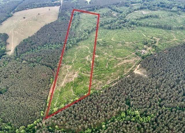 Property at 1 Camak School Rd, Norwood, GA 30821