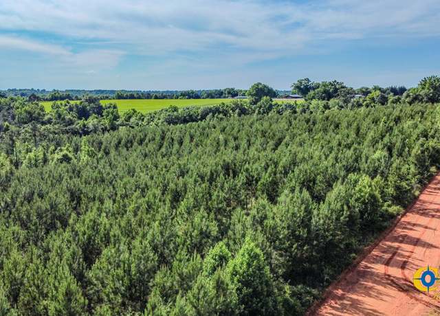 Property at 0 Welch Rd, Buena Vista, GA 31803