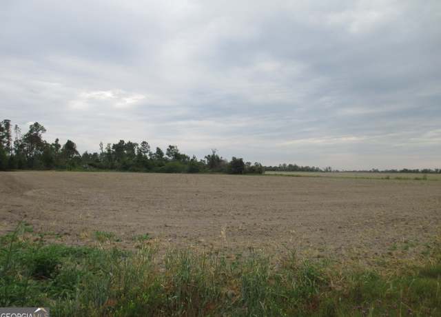 Property at 08600022T1 Redbird Rd, Lumber City, GA 31549