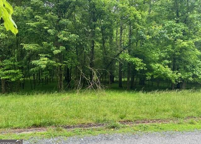 Property at LT 17 Misty Valley Ln, Ellijay, GA 30536
