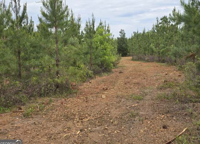 Property at 12 Marvin Murphy Rd, Ellaville, GA 31806