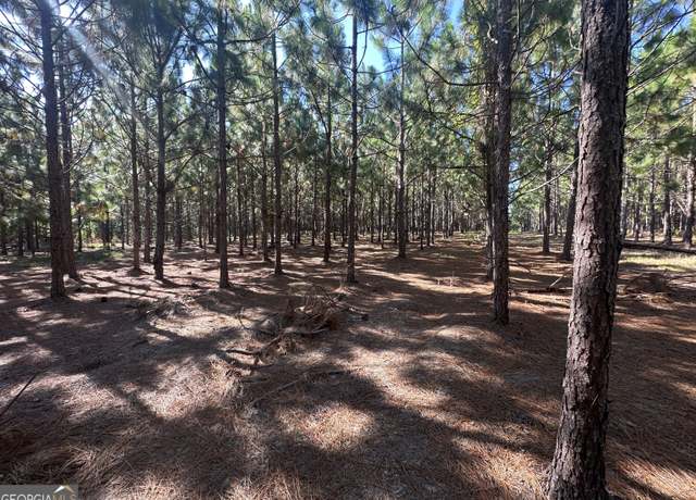 Property at 0 Dickey Rd, Sylvania, GA 30467