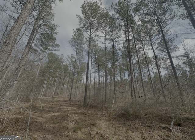 Property at 210.73 Acres, Gay, GA 30218