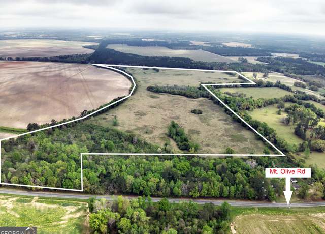 Property at 5854 Mount Olive Rd, Pelham, GA 31779