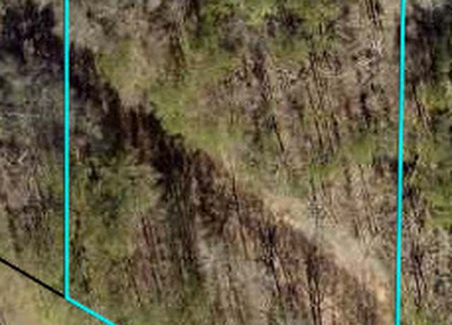 Property at 0 Burnham Rd, Newnan, GA 30263
