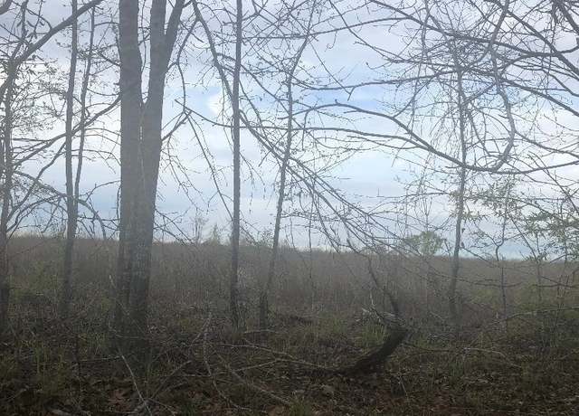Property at 0 Crabapple Dr, Hawkinsville, GA 31036