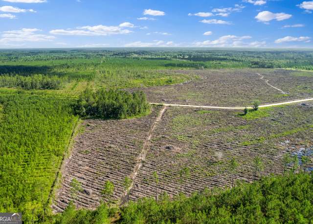 Property at TRACT 4 Morris Break Rd, Odum, GA 31555