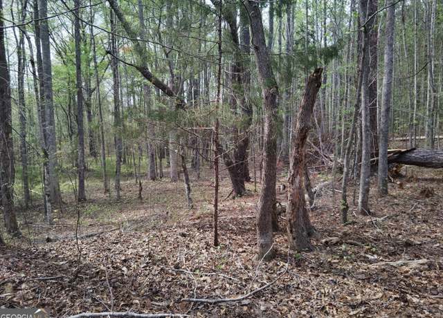 Property at 75 Lee Ln, Greenville, GA 30222