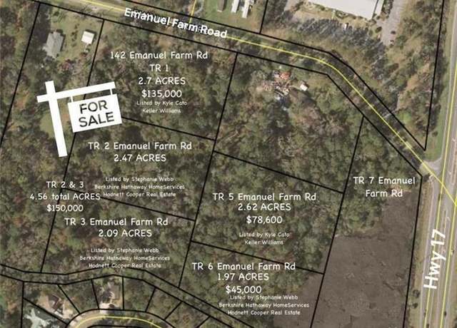 Property at TR 2 & TR 3 Emanuel Farm Rd, Brunswick, GA 31525