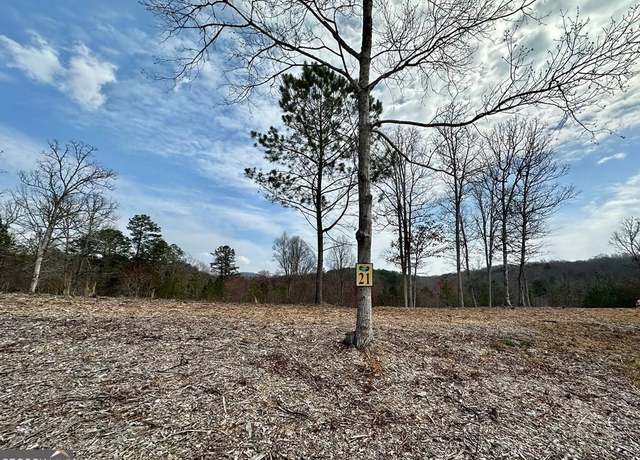 Property at 21 Arbor Creek Trl, Mineral Bluff, GA 30559