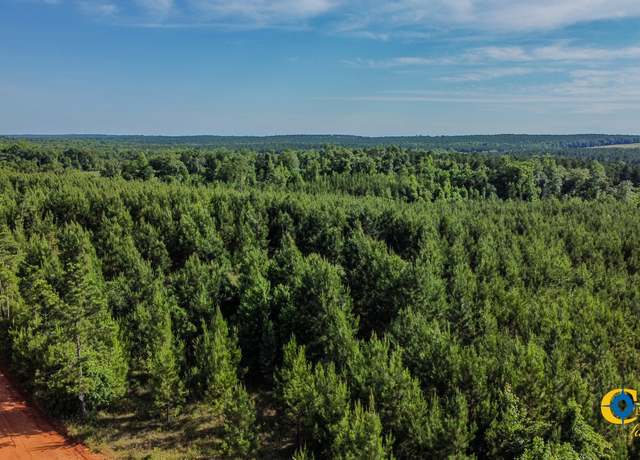 Property at 0 Welch Rd, Buena Vista, GA 31803