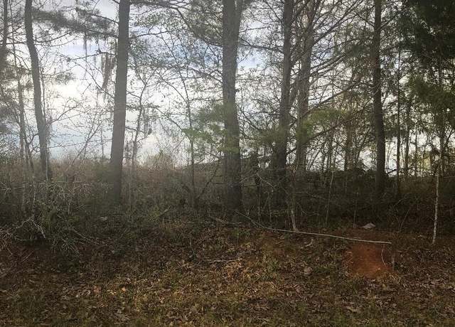 Property at 0 Crabapple Dr, Hawkinsville, GA 31036