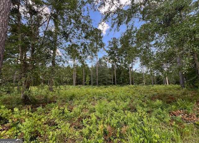 Property at 19 Windmill Palm, Brunswick, GA 31523
