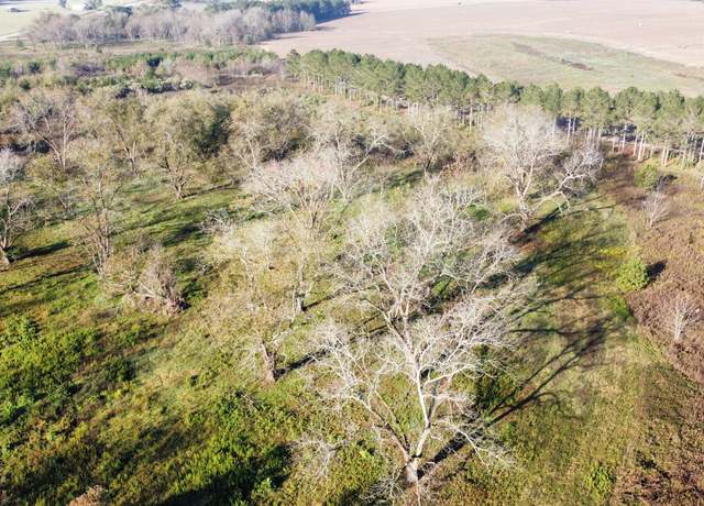 Property at 7-9 County Line Rd, Elko, GA 31025