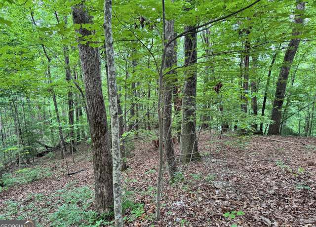 Property at 0 Black Bear Den Rd, Clayton, GA 30525