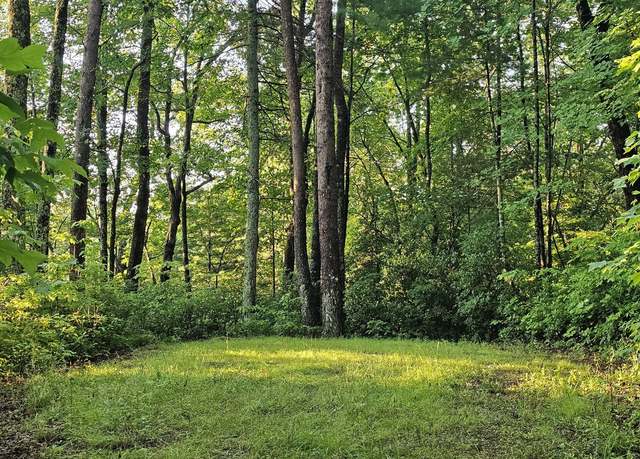 Property at 0 Lilly Lou Trl, Tiger, GA 30576