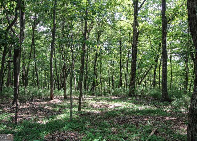 Property at 8088 Ridgeview Dr, Big Canoe, GA 30143