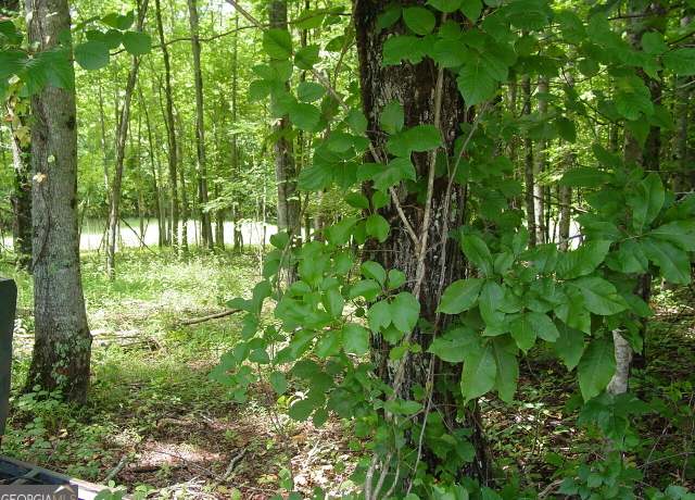 Property at #13 Dan Knob, Hayesville, NC 28904