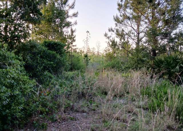 Property at 10623 Highway 94 Hwy #2, St. George, GA 31562