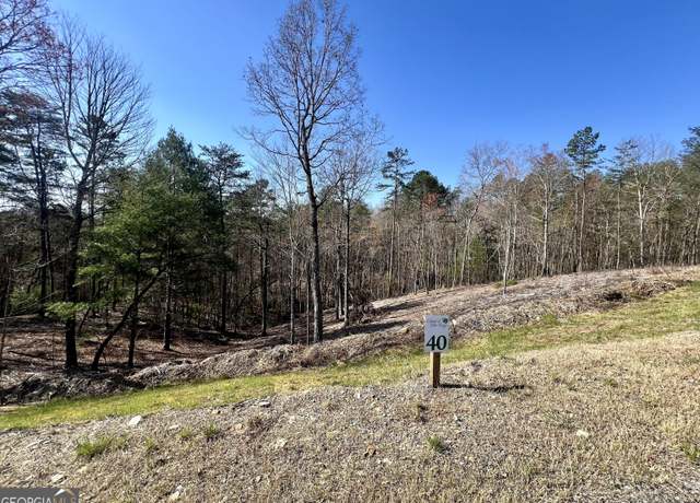 Property at 40 Ridgeline Ln, Mineral Bluff, GA 30559