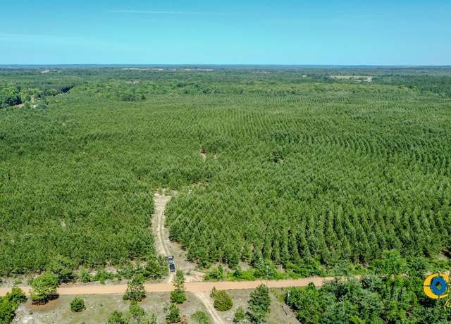 Property at 0 Montgomery Rd, Mauk, GA 31058
