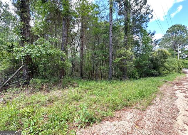 Property at 141 Wilson Woodard Rd, Eastman, GA 31023