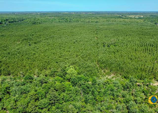 Property at 0 Montgomery Rd, Mauk, GA 31058