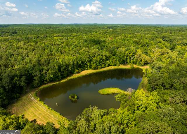 Property at 110 ACRES Talbotton Hwy, Butler, GA 31006