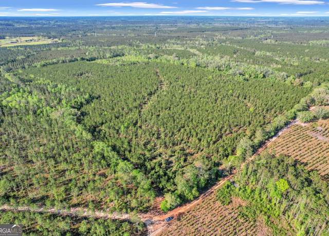 Property at 0 Mildred Bush Rd, Surrency, GA 31563