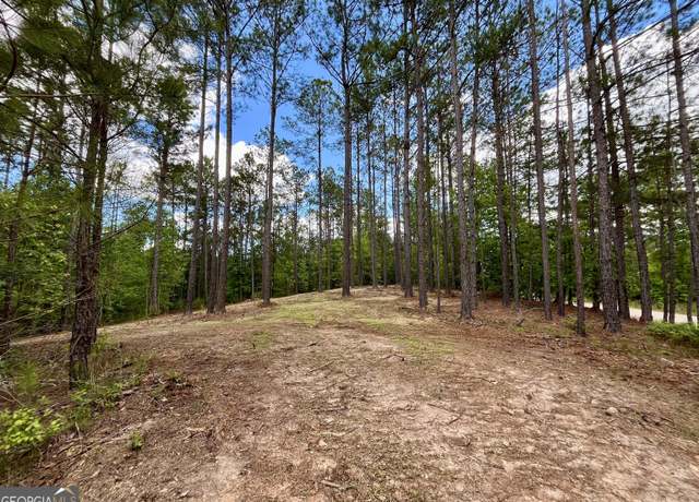 Property at 0 Rollin Mill - Tract 2, Franklin, GA 30217