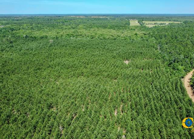 Property at 0 Miller Road West, Mauk, GA 31058