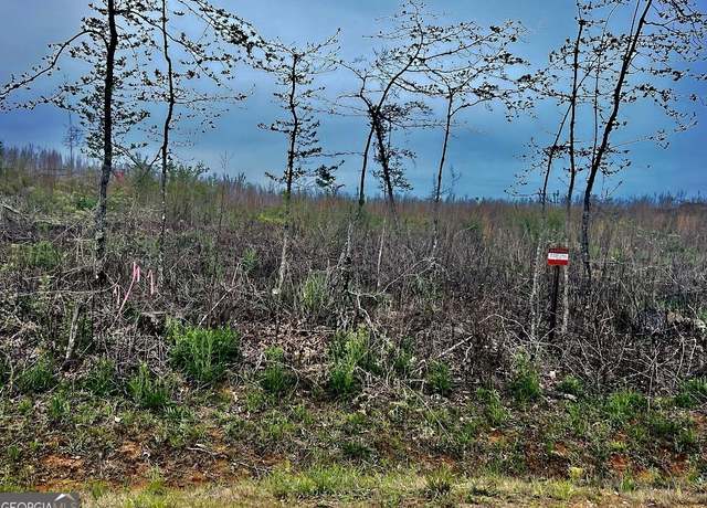 Property at TRACT B Co Rd 123, Wedowee, AL 36278