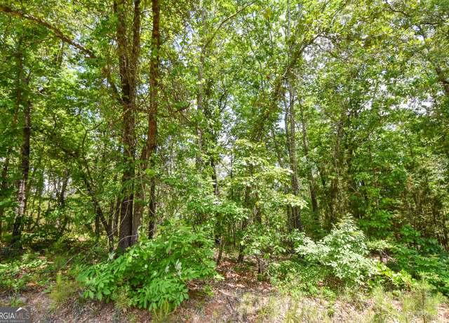 Property at 0 Skelton Rd Lot 12, Thomaston, GA 30286