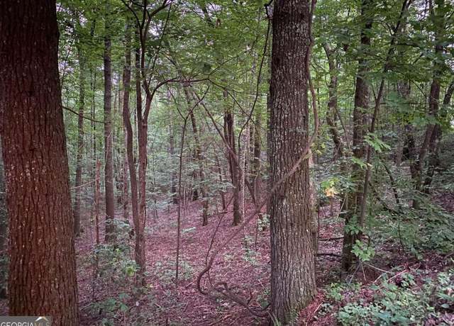 Property at 0 Whitecliff Dr, Ellijay, GA 30540
