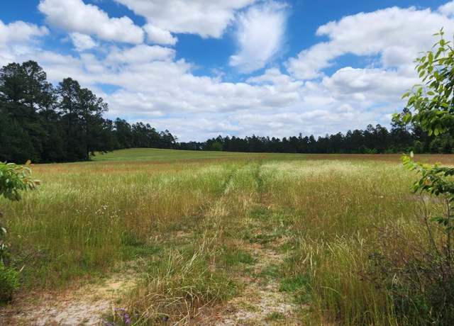 Property at 0 Mixon/stingray Rd, Swainsboro, GA 30401