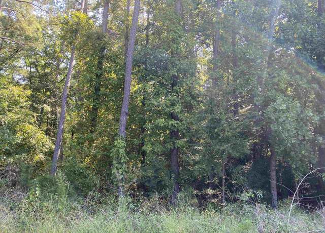 Property at 0 Lakewood Northeast Way #637, Conyers, GA 30012