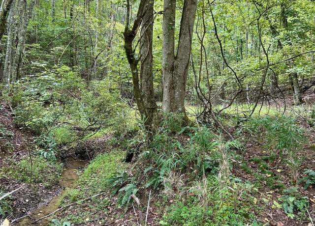 Property at 0 Yonah View Dr, Cleveland, GA 30528