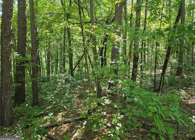 Property at 0 Lawson Federal Rd, Ball Ground, GA 30107