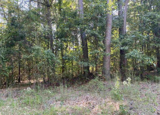 Property at 0 Lakewood Northeast Way #621, Conyers, GA 30012